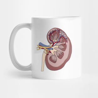 Kidney anatomy Mug
